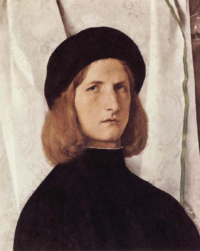 Lorenzo Lotto Portrait of a Young Man France oil painting art